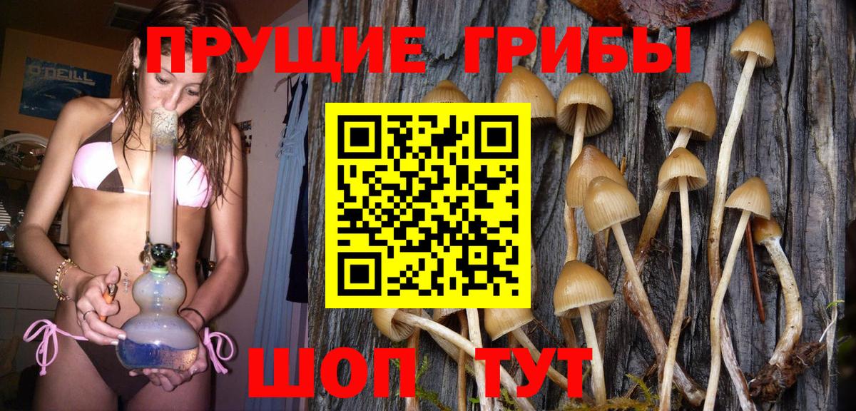 Галлюциногенные грибы Cubensis  Вход с VPN  Обнинск  Псилоцибиновые грибы Psilocybe 